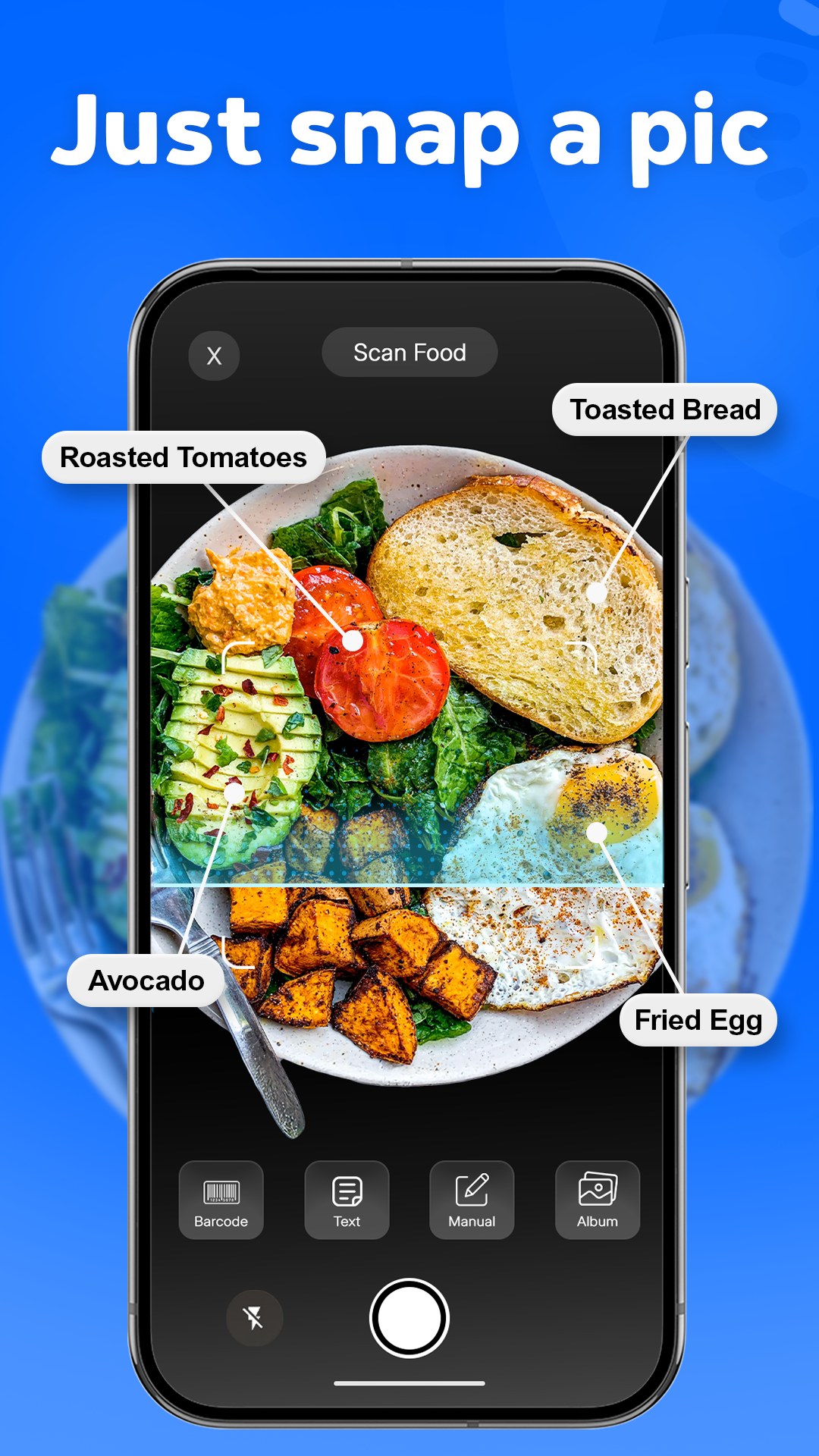 SnapFit camera identifying foods in a meal